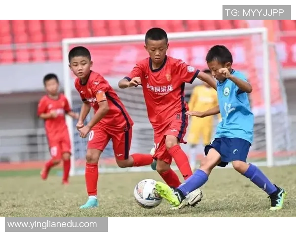 重庆足球队实力揭秘：从青训到职业联赛的全景分析与展望